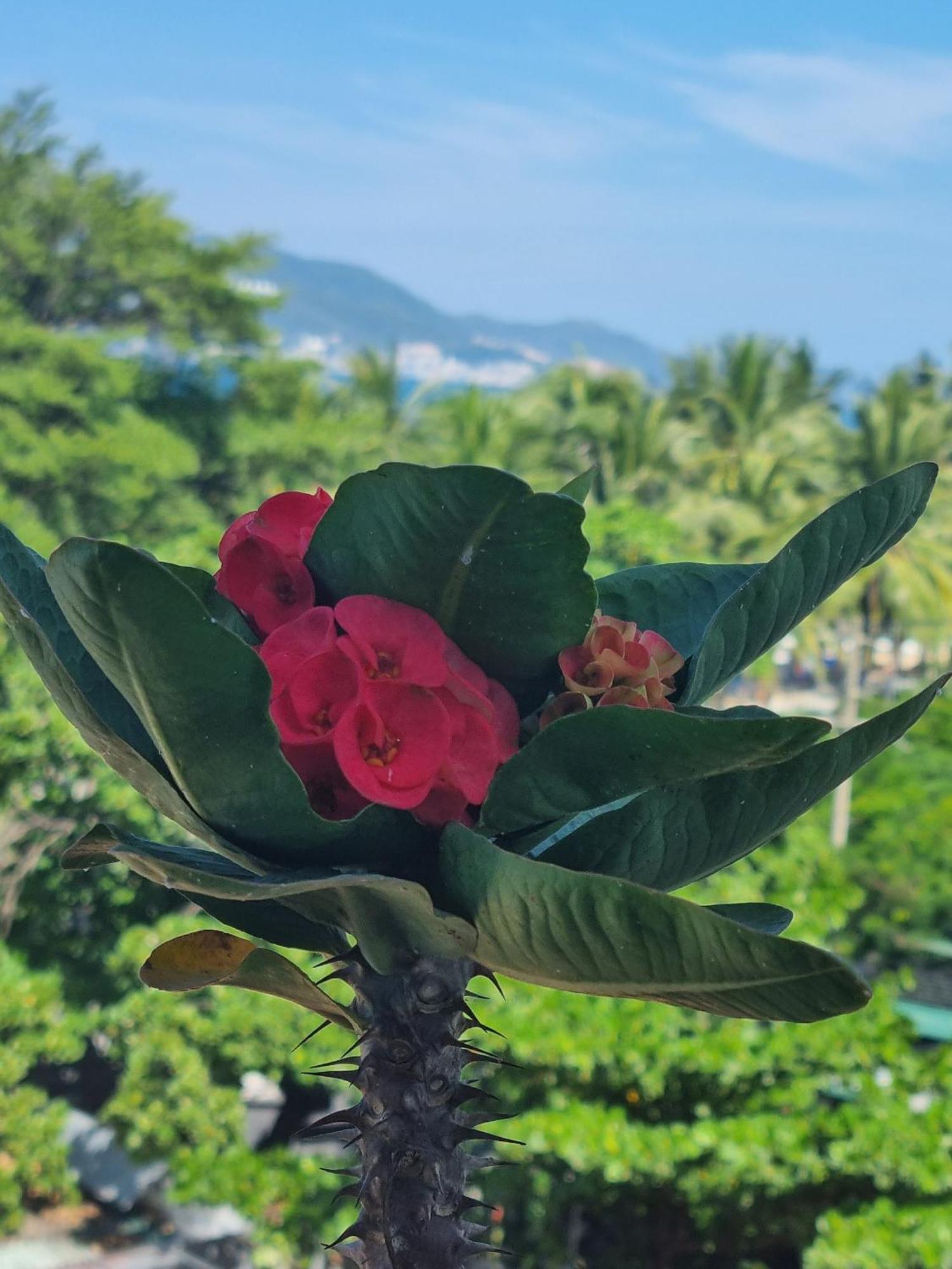 Pho Bien Hotel Nha Trang Exteriér fotografie