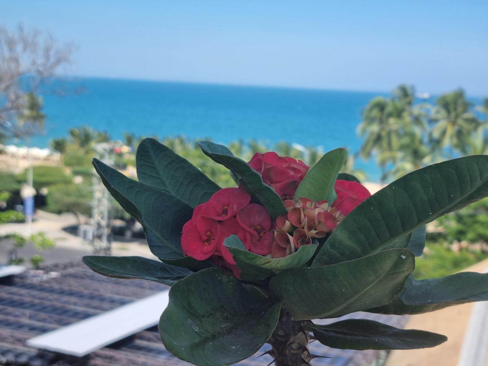 Pho Bien Hotel Nha Trang Exteriér fotografie